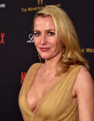 photos Gillian Anderson