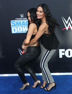 photos The Bella Twins