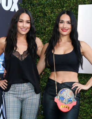 photos The Bella Twins